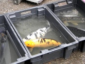 ���� �������������������