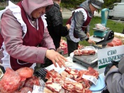 ���� �������������������