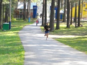 ����� �������� � ��������� ����������