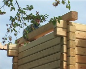 � ����������� ������ �������� ������������� ����  ������