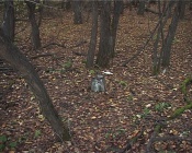 � �������� ��������� ���� ����� � ������