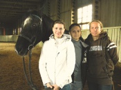 ����� ���� �����: ������ ���