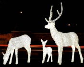 � �������� �� ����� �������� �� ����������� ����� ���