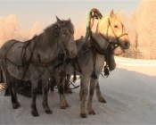 �� �� ������� ������������� � ��������