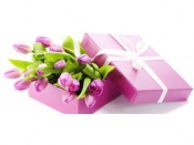 �������, ����� �������!