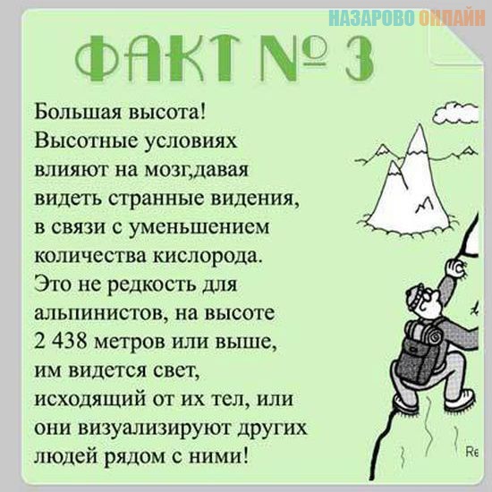http://www.nazarovo-online.ru/uploads/posts/2013-04/1365644376_brain_14.jpg