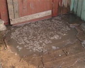 � ����������� ������ ���� ����� � ����