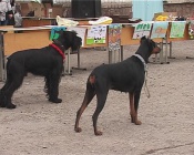 � �������� ������ �������������� ����