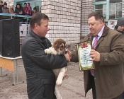 � �������� ������ �������������� ����