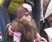 � �������� �������� ���� ������ �����