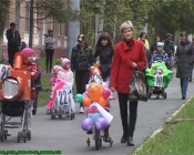 � �������� �������� ���� ������ �����