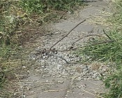 ������� �� �������� ������ ��������������