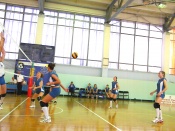 ����������� �����������