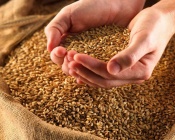 ������ ������������ ������ ����� 1,5 ����� ������