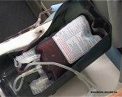 17 �������� �� ����������� ������� ������ �������� ����� ��������� ����� �����