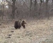 � ����������� ������ ������ �������