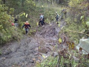 ������ ���������� 2013