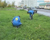 ���������� ���������� ������ ����� � ��������������� ������