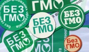В городе Назарово пока нет продуктов с содержанием ГМО