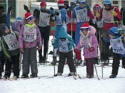 � ������ �������� �� ����� ����� ����� 300 ����������