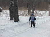 � ������ �������� �� ����� ����� ����� 300 ����������