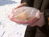 ����������� ��������� ������� �������