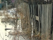 ������� ���� ������ �� ����� �������� �� ��������