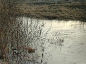 ������� ���� ������ �� ����� �������� �� ��������