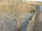 ������� ���� ������ �� ����� �������� �� ��������