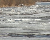 �� ���� ����� ������� �������