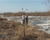 �� ���� ����� ������� �������