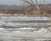 �� ���� ����� ������� �������