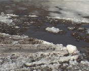 �� ���� ����� ������� �������