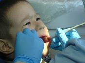 � ����������� ������������ ���������� ��������� �������