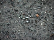 ���� ��� �������� ����������� ��������� ��������� �����������