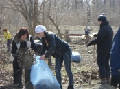 ����������� ������ ������� ������� � ���������� �������