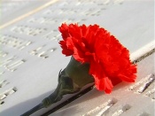 � ������ �������� �������� ���� ������