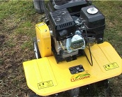 ������������ � ��������� ������� - ������ �������� �� �������������� �������������