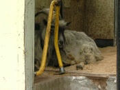 � ������ �������� �������� ����� ������ �� ���������