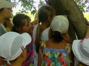 � ����������� ����� ������������ ����� �����