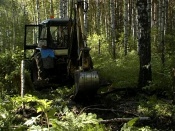 ����� ��������: ���� ��������, ������� �� ����������� ��� �����������, ����� �������������