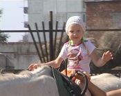 ������� ������������ � ������ �������� ��� ������� ��������