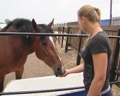 ������� ������������ � ������ �������� ��� ������� ��������