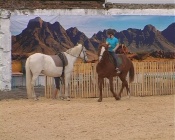 ������� ������������ � ������ �������� ��� ������� ��������