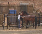 ������� ������������ � ������ �������� ��� ������� ��������