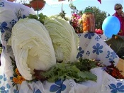 ����������� �������� �������� ���� ������