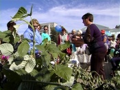 ����������� �������� �������� ���� ������