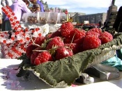 ����������� �������� �������� ���� ������