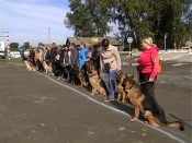 ����������� ��� ������������������ �����������