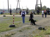 ����������� ��� ������������������ �����������